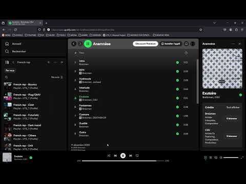 BREiZMAN - Anamnèse (Projet complet)