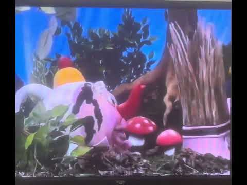 CITV 1995: The Magic House: The Waffle Cycle (7th March 1995)