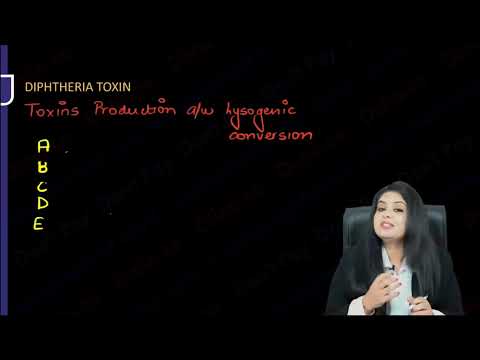 Microbiology -- Gram positive Bacilli Part 1