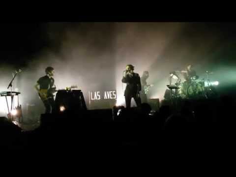 Las Aves - First Aid Blanket (live)