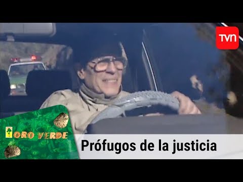 Prófugos de la justicia | Oro verde - T1E104 - Capítulo final