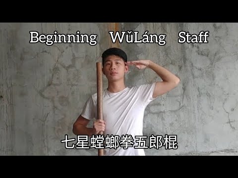 Beginning Wǔ Láng Staff 七星螳螂拳五郎棍