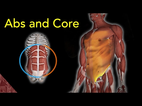 Abs and Core workout at home. For athletes (Especially swimmers)