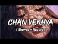 Chan Vekhya ( Slowed Reverb ) | Harnoor | New Punjabi songs 2021 | Reverb songs |