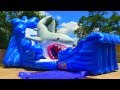 Gone Fish N Shark Wet Dry Slide Sky High Party Rentals