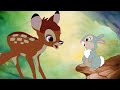 BAMBI Italian Trailer