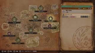 【双剣ソロNPC無し】HR80　レウス一式から更新したい【モンハンワイルズ】