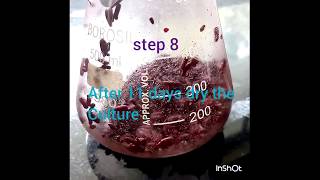 Red Yeast Rice production - Functional Food