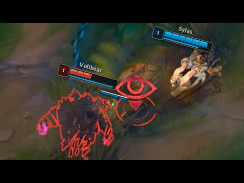 PRO MAKE MISTAKES TOO | VOLIBEAR CLIP