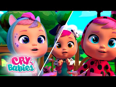 TID TIL AT HAVE DET SJOVT 👒 CRY BABIES 🌈 MAGIC TEARS 💧 SAMLINGER 💕 VIDEO for BØRN PÅ DANSK