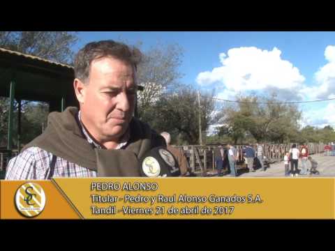 21-04-17 Nota Pedro Alonso - Pedro y Raul Alonso Ganados S.A. - Tandil.