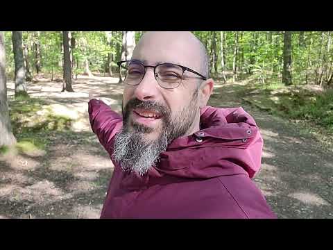 Esprits de la Nature fées faunes lutins elfes vouivre dragons : promenade énergétique en forêt