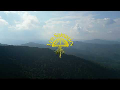 Eco Somatics Retreat | Dr Azra Bertrand | Biomancy University