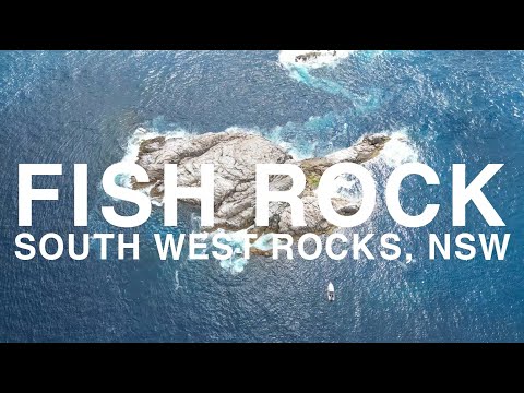 Fish Rock Scuba Dive 2023 (South West Rocks, NSW)