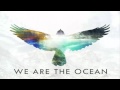 We Are The Ocean - Trouble Is Temporary, Time ...