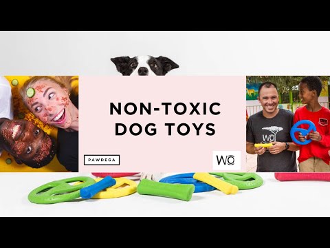BEST DOG TOYS: How to choose safe and non-toxic toys for your pet