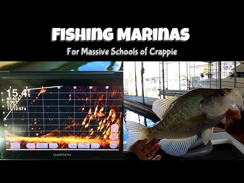 Fishing Marinas in Winter for Massive Schools of Crappie (Episode 13)