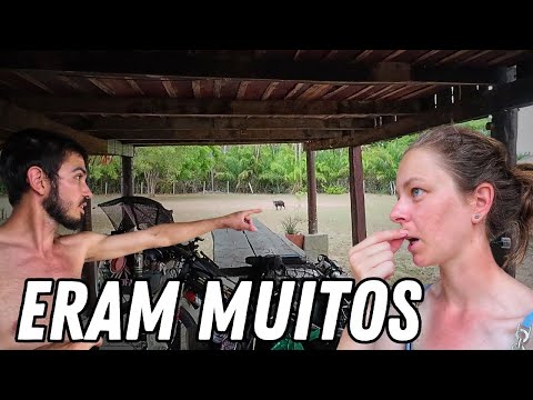 Rondaram o acampamento em PLENA LUZ DO DIA | Corumbá/MS - Ep19 parte2