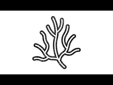 Foamplate - Threefold