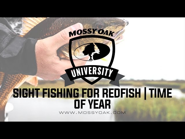Fishing for Redfish