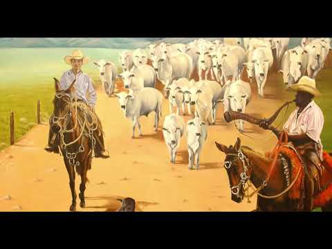 Canticos de Caboclo Boiadeiro