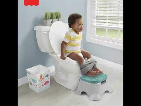 Горшок 3-в-1 Fisher-Price Веселое обучение (GYP61)