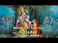 Meri Vinti Yahi Hai Radha Rani ( Slowed + Reverb ) | Chitra Vichitra | My Music Level