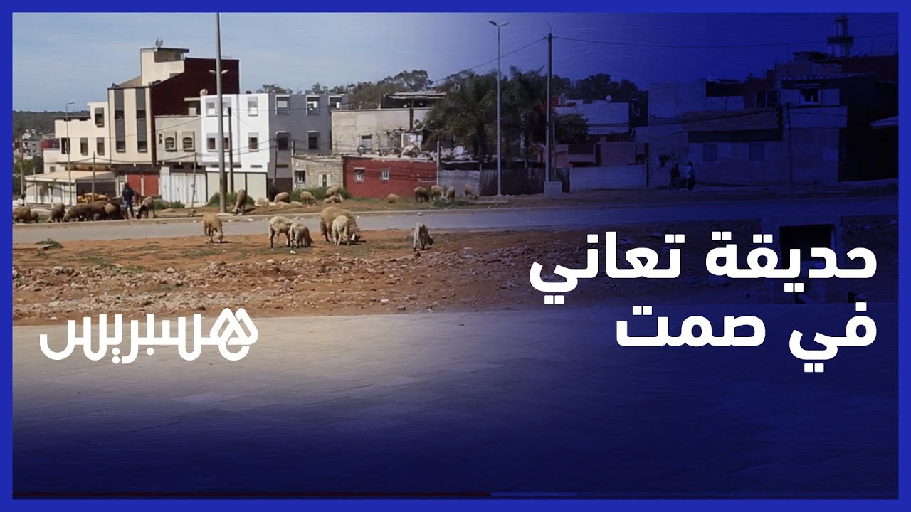 حديقة تعاني في صمت.. التخريب يطال حديقة عمومية حديثة الإنشاء بسيدي الطيبي thumbnail