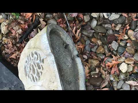 Mice Hiding in Couch Cushions in Freehold, NJ