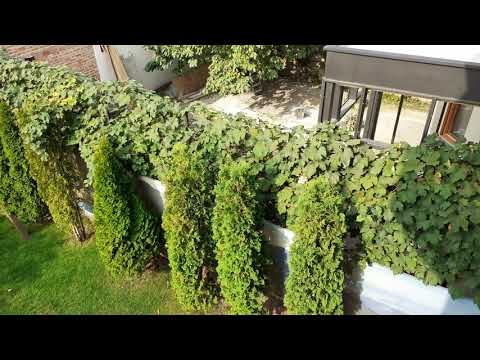 Pensiunea Family Fewo, Sibiu. Un loc in care uiți  in ce tara te afli.Enjoy🍷🍹🤩