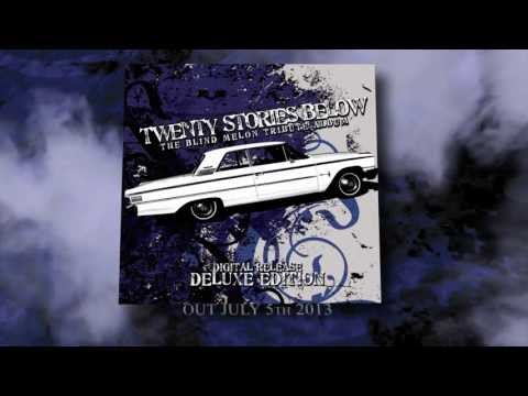 Twenty Stories Below - The Blind Melon Tribute Album - Digital Deluxe Edition Promo
