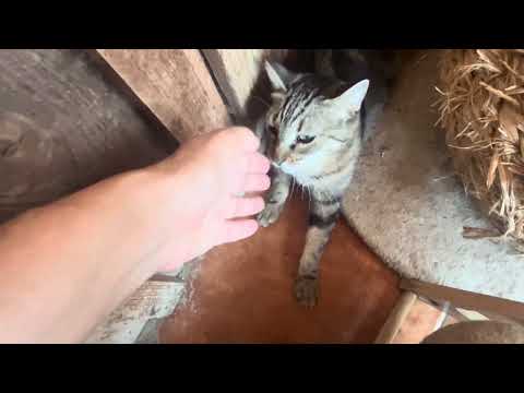 Vídeo de CHLOE