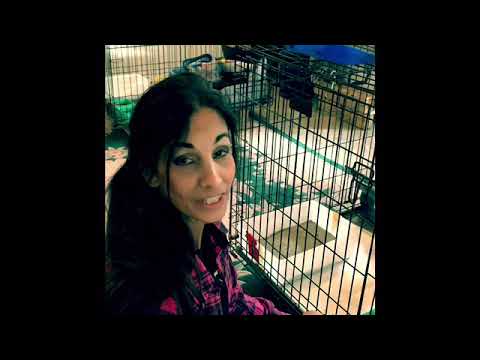 Kitty Routine-MaryLee’s Adventures Of Kitty Rescuing