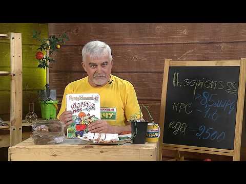 Вперёд, товарищи! На дачу! Выпуск от 07.04.26