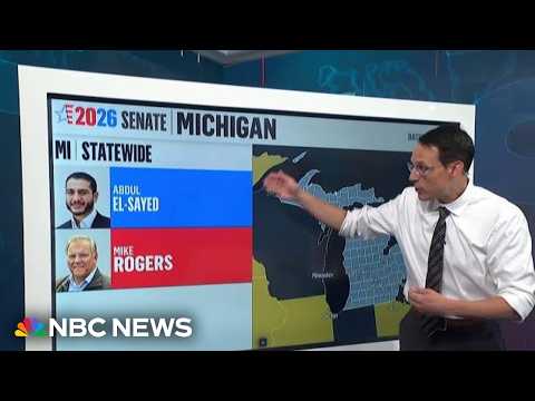 Democrat El-Sayed leads poll in Michigan Senate race