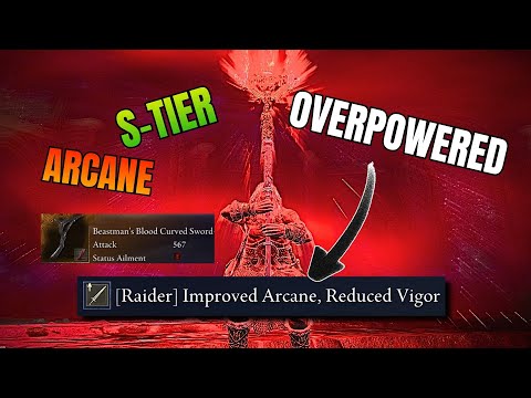 This RAIDER BUILD Might Be The Strongest Build In The Forsaken Hollows