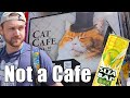 William Investigates A Japanese Cat Zoo