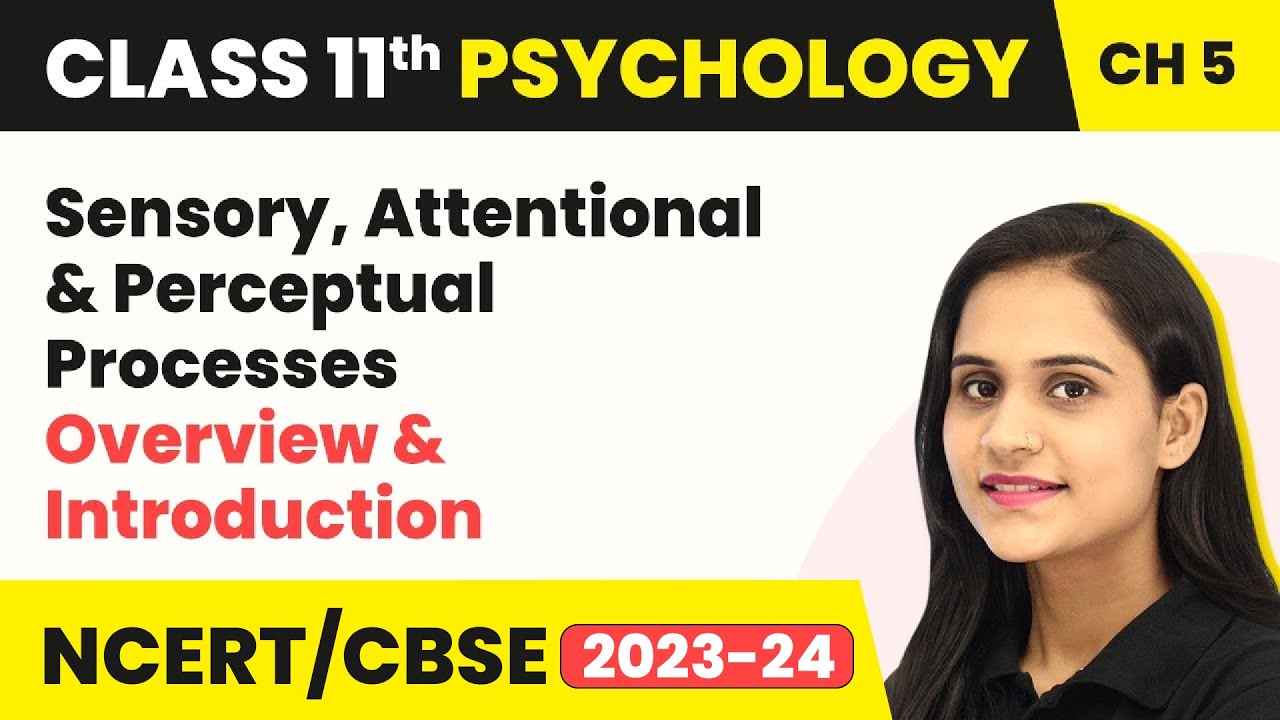 Sensory, Attentional & Perceptual Processes - Overview & Introduction |Class 11 Psychology Chapter 5