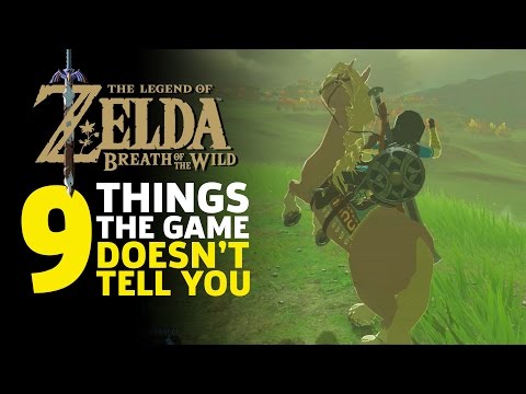 9 Things I Wish I Knew Before I Started Zelda: Breath of the Wild