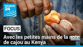 Production de la noix de cajou au Kenya : plusieurs usines ne protègent pas leurs salariées