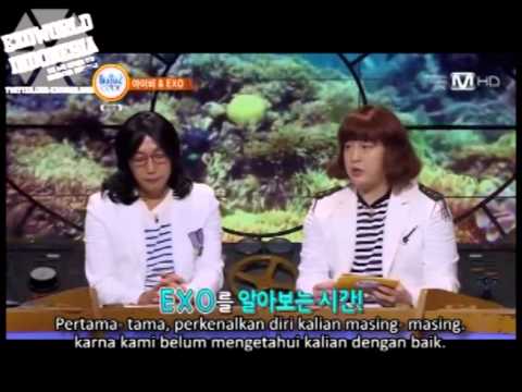 [INDOSUB] 130701 Beatles Code 2- EXO (Opening+Suho intro)