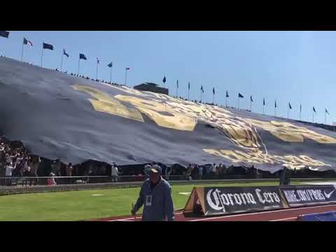 "La Rebel Orgullo Azul y Oro" Barra: La Rebel &bull; Club: Pumas