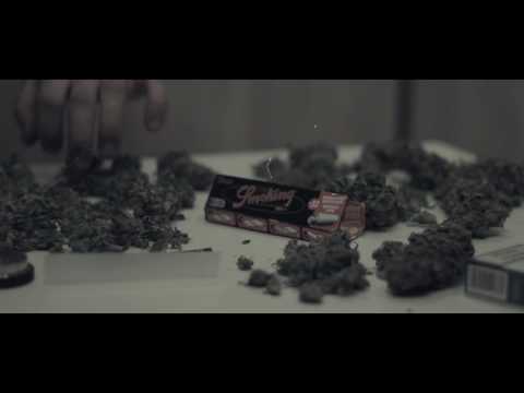 CANNABIS FANATIC - Cannabis