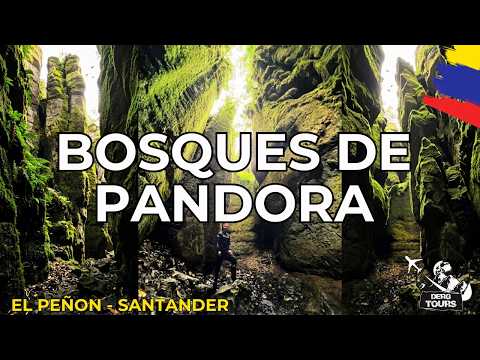 DESCUBRIMOS BOSQUES DE PANDORA 😱 | Un Paraíso Escondido en SANTANDER 🇨🇴