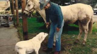 Brooks & Dunn - Cowboy Town