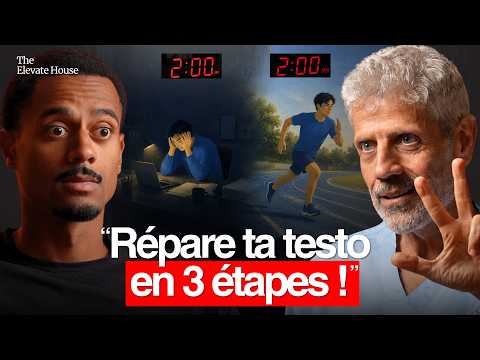 EXPERT EN TESTOSTÉRONE : « Ces HABITUDES ont FABRIQUÉ une CHUTE mondiale du taux de TESTOSTÉRONE ! »