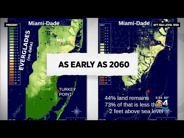 Understanding Cause of Florida Sea Level Rise