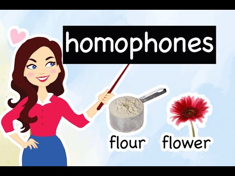 English Lesson #18 | What are HOMOPHONES? Examples & Usage