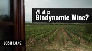 Josh Talks: Biodynamic Wine 101 (And How It's Different Than Organic)