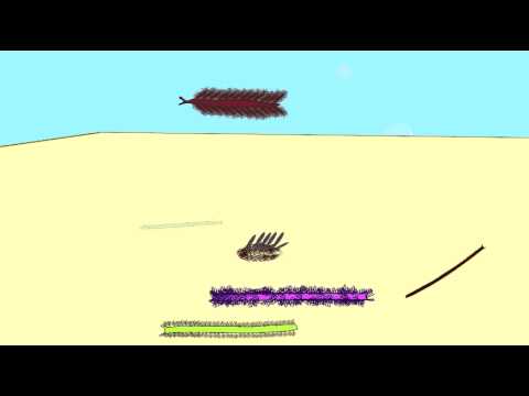 ANNELID WORMS OF THE BURGESS SHALE